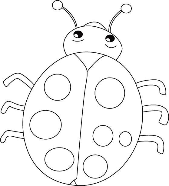 Biedronki kolorowanki